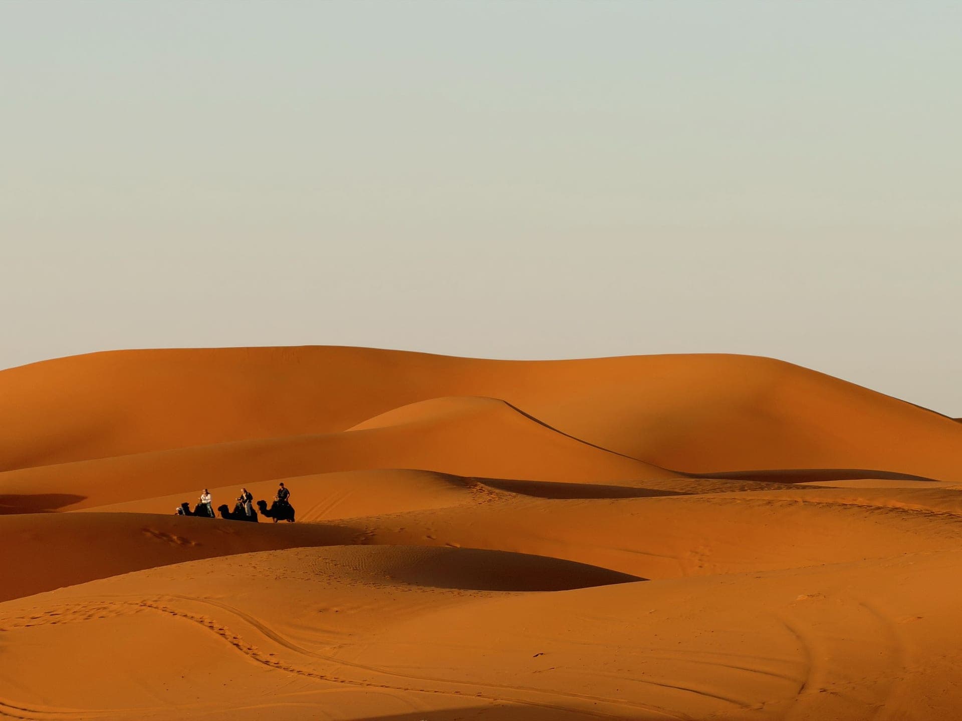 Merzouga vs Zagora: Which Desert Trip From Marrakech?